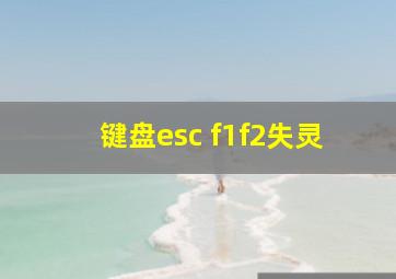 键盘esc f1f2失灵